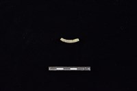 陶環藏品圖，第2張